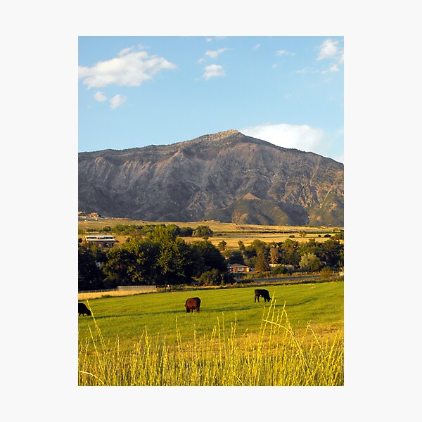 Item preview, Below the Foothills of Mount Ben Lomond designed and sold by Jan  Tribe.