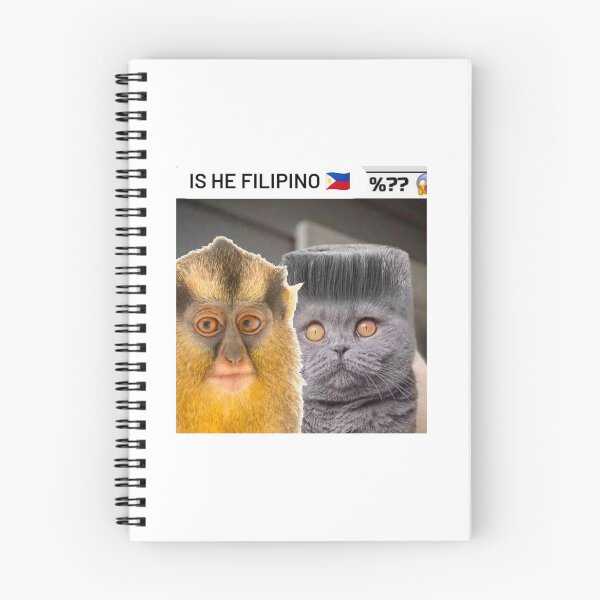 Item preview, Is He Filipino? Twinning. designed and sold by hurdygurdyman1.