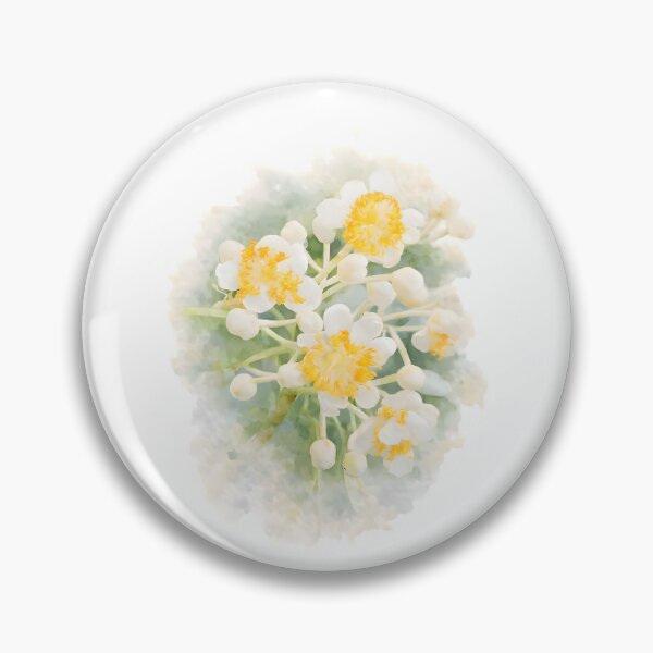 Item preview, Mammea Siamensis(Siamese Mamey / Sarapee) designed and sold by HOMETOWN86.