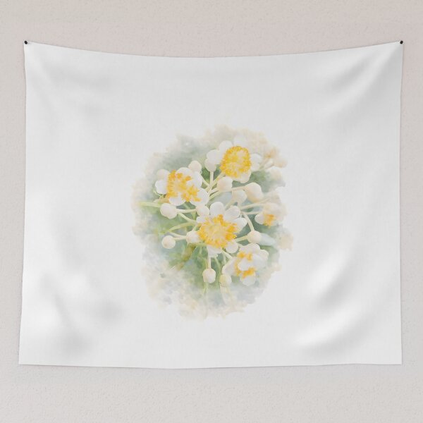 Item preview, Mammea Siamensis(Siamese Mamey / Sarapee) designed and sold by HOMETOWN86.