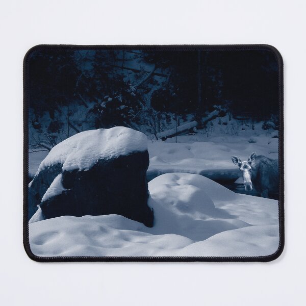 Item preview, Blue Moose at Profile Falls designed and sold by Wayne King.