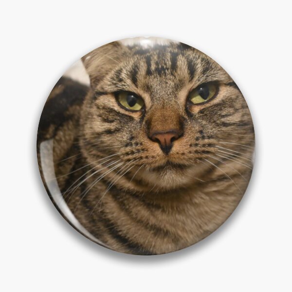 Item preview, Quote from a wise cat  designed and sold by 100sOfDesigns.