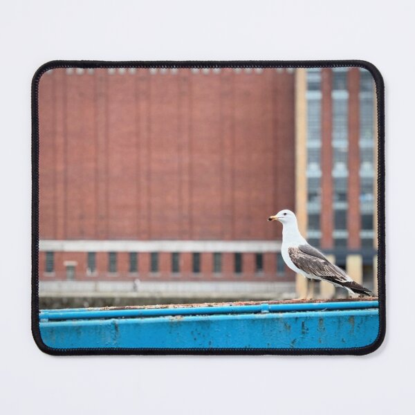 Item preview, Baltic Gull designed and sold by Stephen Baird Photos.