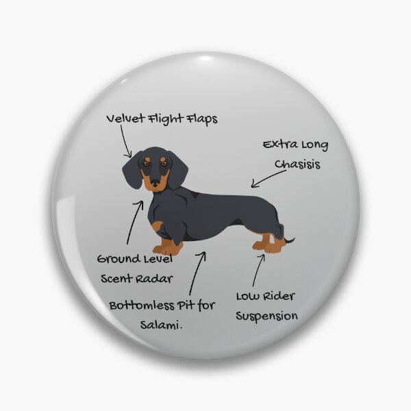 Item preview, Anatomy of a Dachshund - Doxie Mom Gift designed and sold by RNTStudio.
