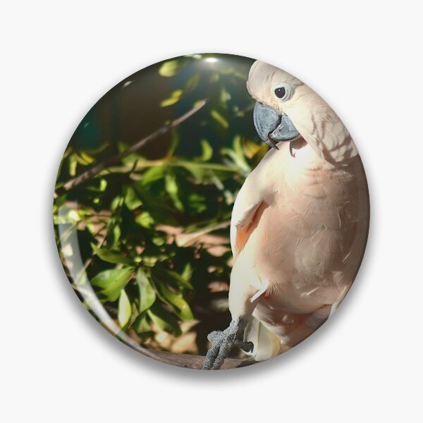 Item preview, Cockatoo Perched on a Branch designed and sold by MercerImages.