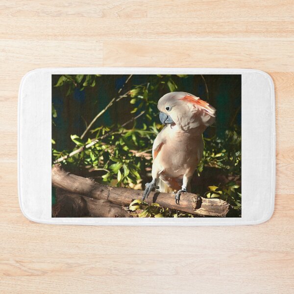 Item preview, Cockatoo Perched on a Branch designed and sold by MercerImages.