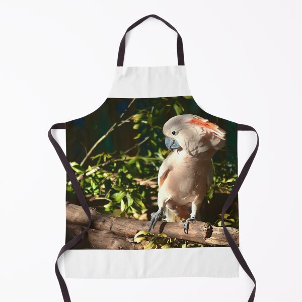 Item preview, Cockatoo Perched on a Branch designed and sold by MercerImages.