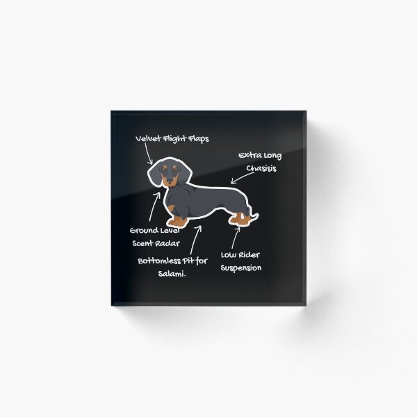 Item preview, Anatomy of a Dachshund - Doxie Mom Gift designed and sold by RNTStudio.