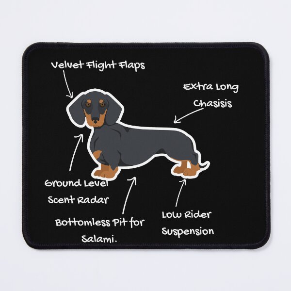 Item preview, Anatomy of a Dachshund - Doxie Mom Gift designed and sold by RNTStudio.
