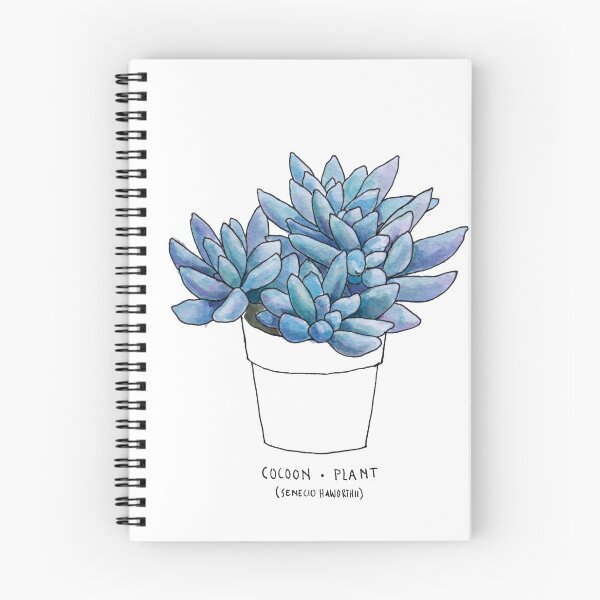 Item preview, COCOON PLANT - SUCCULENT  designed and sold by katetortland.