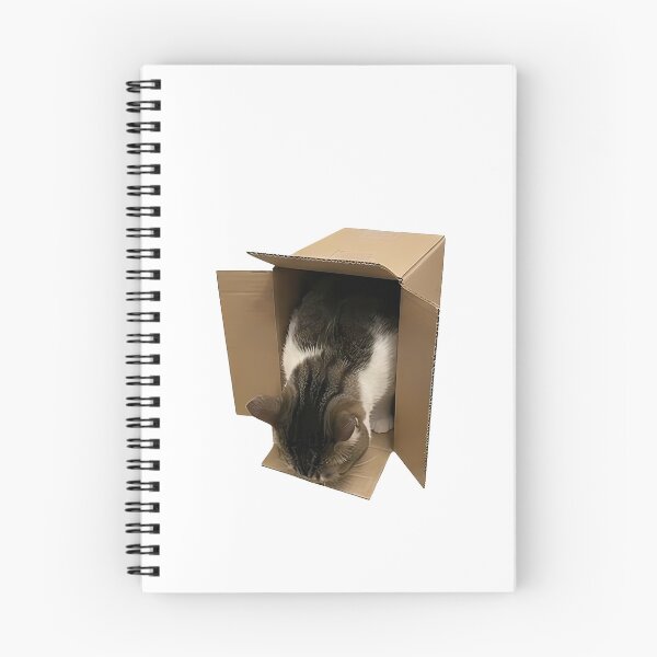 Item preview, Cat in Box designed and sold by k3rstman1.