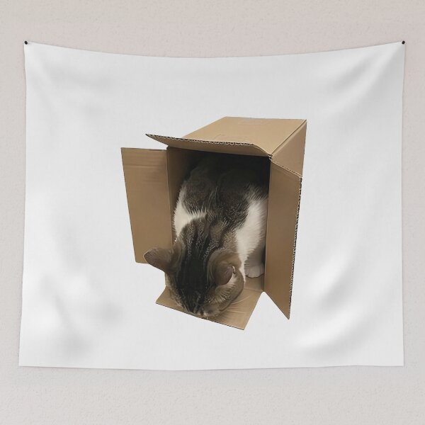 Item preview, Cat in Box designed and sold by k3rstman1.