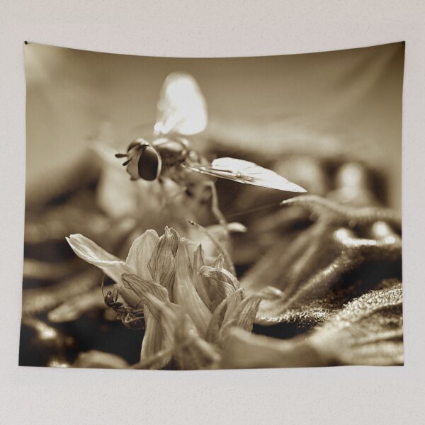 Item preview, Fly With An Ant designed and sold by Stephen Baird Photos.