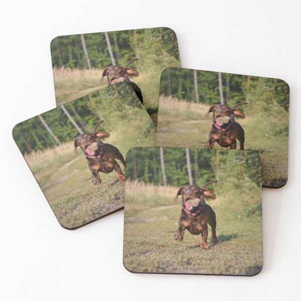 Item preview, Dachshund Emi #7 Rocky time designed and sold by Abi & Emi Core.