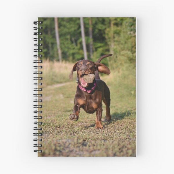 Item preview, Dachshund Emi #7 Rocky time designed and sold by Abi & Emi Core.