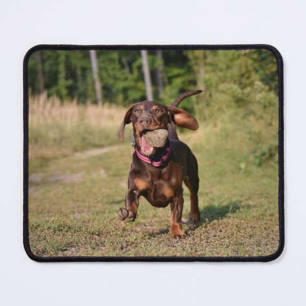 Item preview, Dachshund Emi #7 Rocky time designed and sold by Abi & Emi Core.
