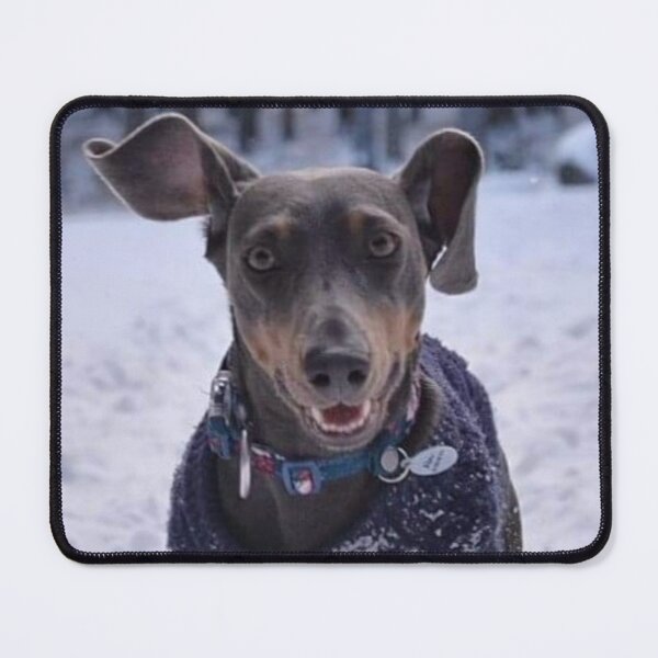 Item preview, Dachshund Abi #2 Snowing smile designed and sold by Abi & Emi Core.