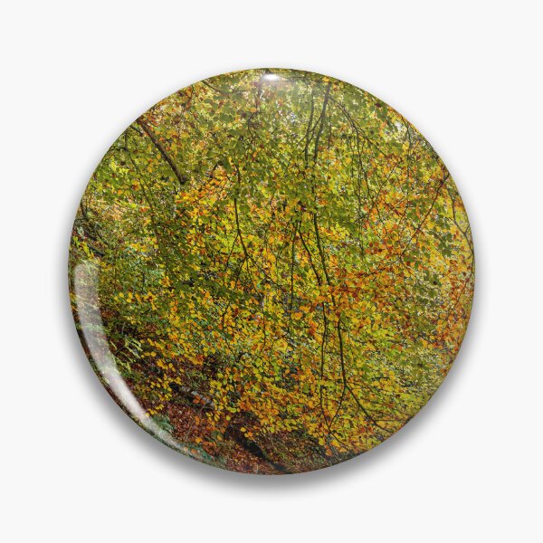 Item preview, Autumn Beech Tree, Monmouthshire and Brecon Canal designed and sold by VnGphoto.