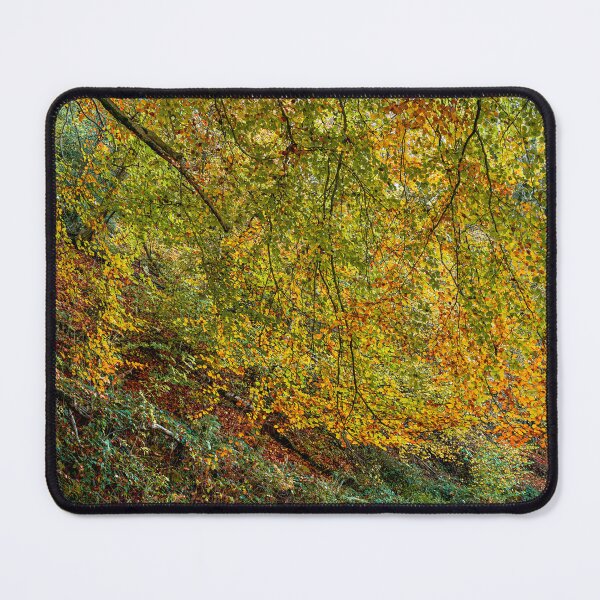 Item preview, Autumn Beech Tree, Monmouthshire and Brecon Canal designed and sold by VnGphoto.