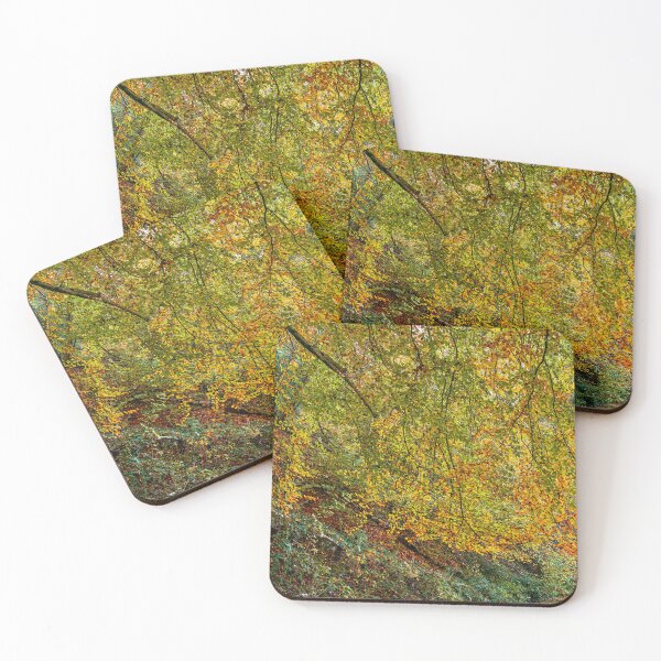 Item preview, Autumn Beech Tree, Monmouthshire and Brecon Canal designed and sold by VnGphoto.