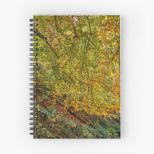 Item preview, Autumn Beech Tree, Monmouthshire and Brecon Canal designed and sold by VnGphoto.