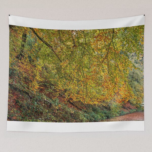 Item preview, Autumn Beech Tree, Monmouthshire and Brecon Canal designed and sold by VnGphoto.