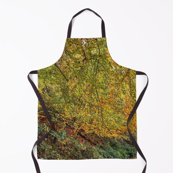 Item preview, Autumn Beech Tree, Monmouthshire and Brecon Canal designed and sold by VnGphoto.