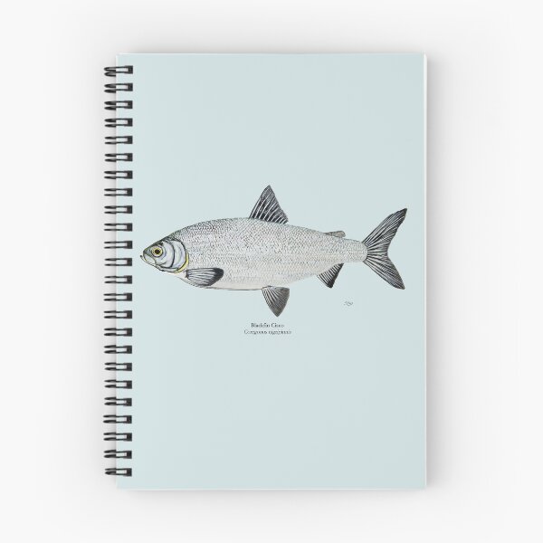 Item preview, Blackfin Cisco Painting designed and sold by Stephen Emms.