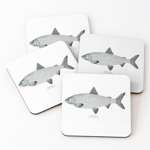 Item preview, Blackfin Cisco Painting designed and sold by Stephen Emms.