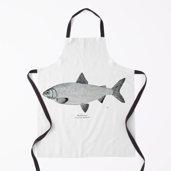 Item preview, Blackfin Cisco Painting designed and sold by Stephen Emms.