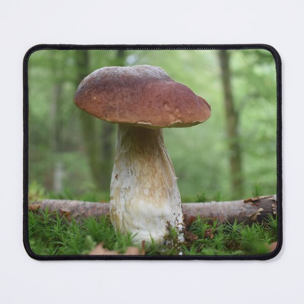Item preview, vild svamp designed and sold by Doocka.