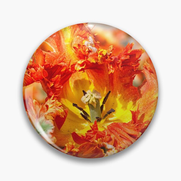 Item preview, Close-up of beautiful orange parrot tulips  designed and sold by Photopat.