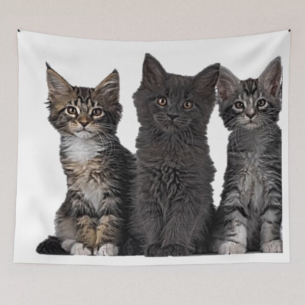 Item preview, For Cat Lovers designed and sold by NoxLand.