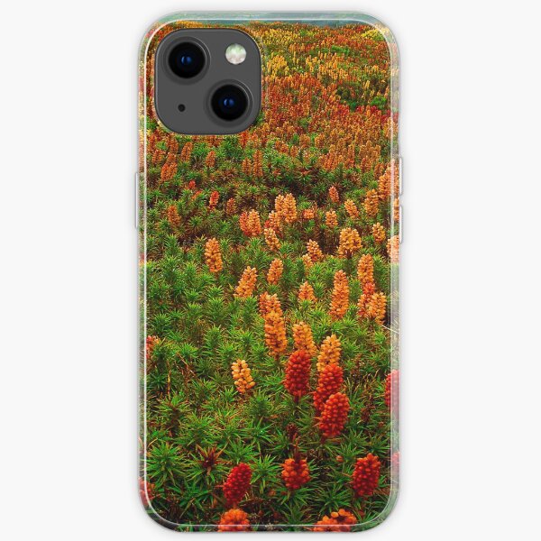 Flowering scoparia, Mount Ossa iPhone Soft Case