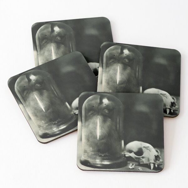 Item preview, Two Headed Duckling and Raccoon Skull Victorian Oddities designed and sold by Intimidation Factory.