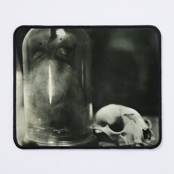 Item preview, Two Headed Duckling and Raccoon Skull Victorian Oddities designed and sold by Intimidation Factory.