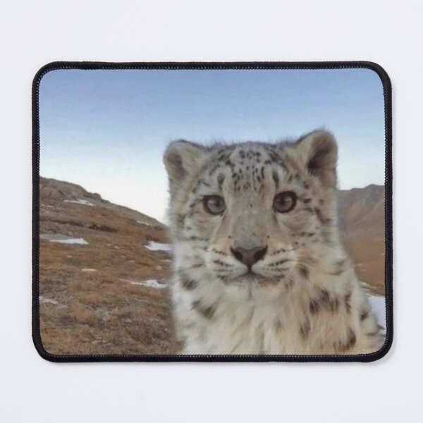 Item preview, Snow Leopard Staring at Camera Photo | Funny Relatable Nature designed and sold by Based History.