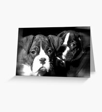 Boxer puppies Greeting Card