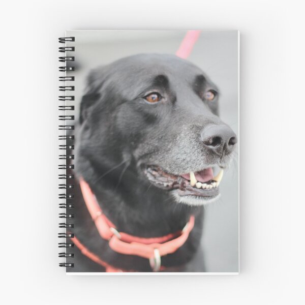 Item preview, Certified Good Boy designed and sold by recoveringartist.