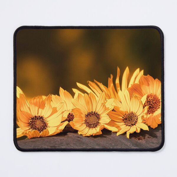 Item preview, Sun Petals designed and sold by Jim Love.