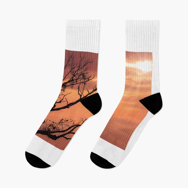 Item preview, Reaching For Dawn designed and sold by Jim Love.