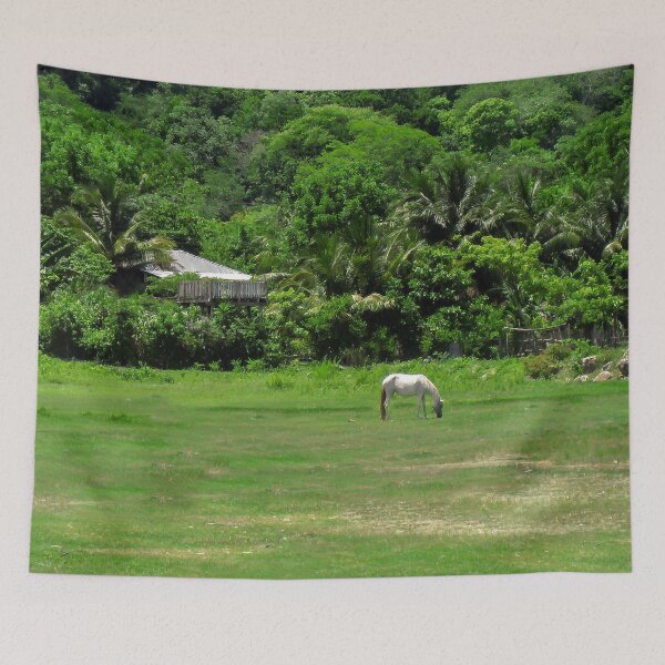 Item preview, Horse in Guatemala designed and sold by heatherfriedman.