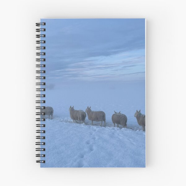 Item preview, Aberdeenshire Sheep. designed and sold by Howard  Boyd.