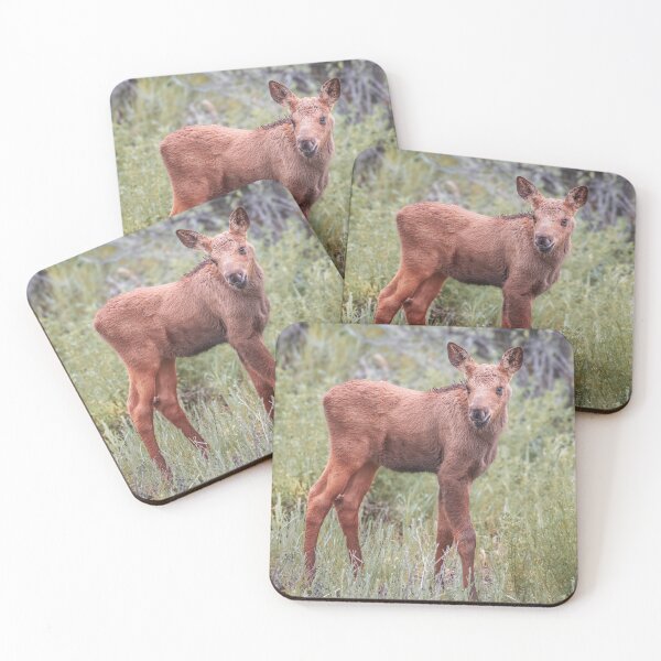 Item preview, Baby Moose Grand Teton NP Wyoming 2 designed and sold by PhotoArt by Joan Carroll.