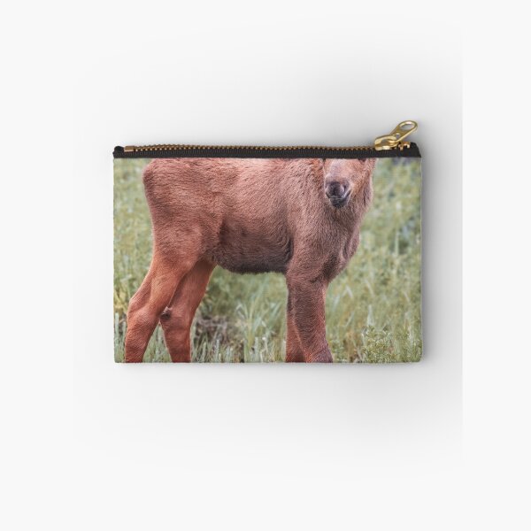 Item preview, Baby Moose Grand Teton NP Wyoming 2 designed and sold by PhotoArt by Joan Carroll.