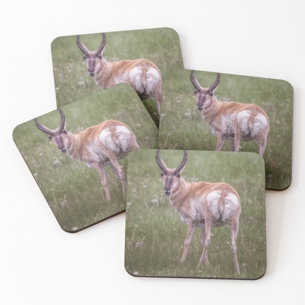 Item preview, Pronghorn Grand Teton NP Wyoming 2 designed and sold by PhotoArt by Joan Carroll.
