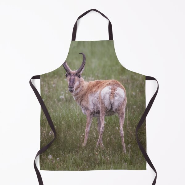 Item preview, Pronghorn Grand Teton NP Wyoming 2 designed and sold by PhotoArt by Joan Carroll.