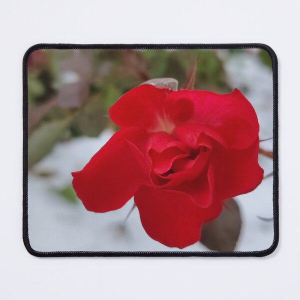 Item preview, A Little More designed and sold by SCTBUFFALOPHOTO.