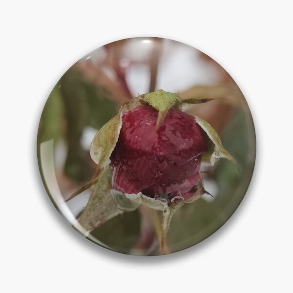 Item preview, Appointed Raindrops designed and sold by SCTBUFFALOPHOTO.