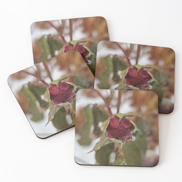 Item preview, Appointed Raindrops designed and sold by SCTBUFFALOPHOTO.